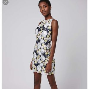 Topshop Multi color lace dress